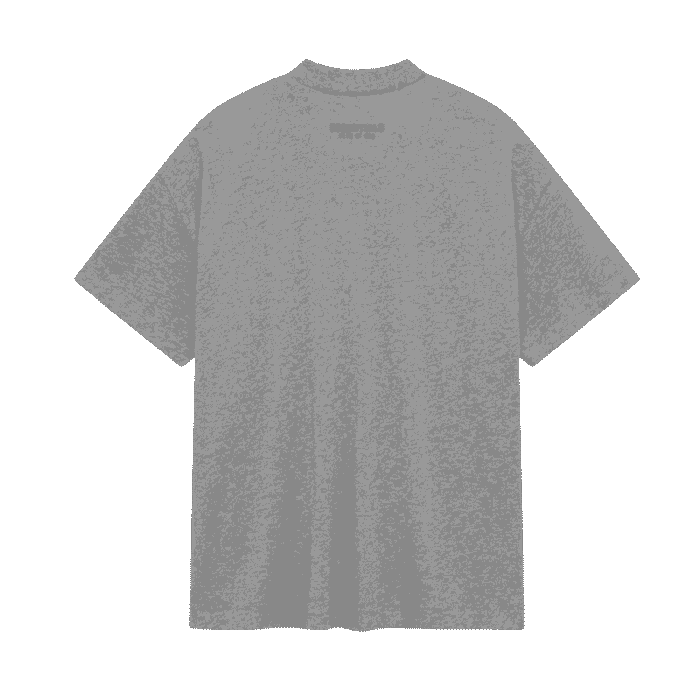 Essentials Gray V-Neck T-Shirt Back in